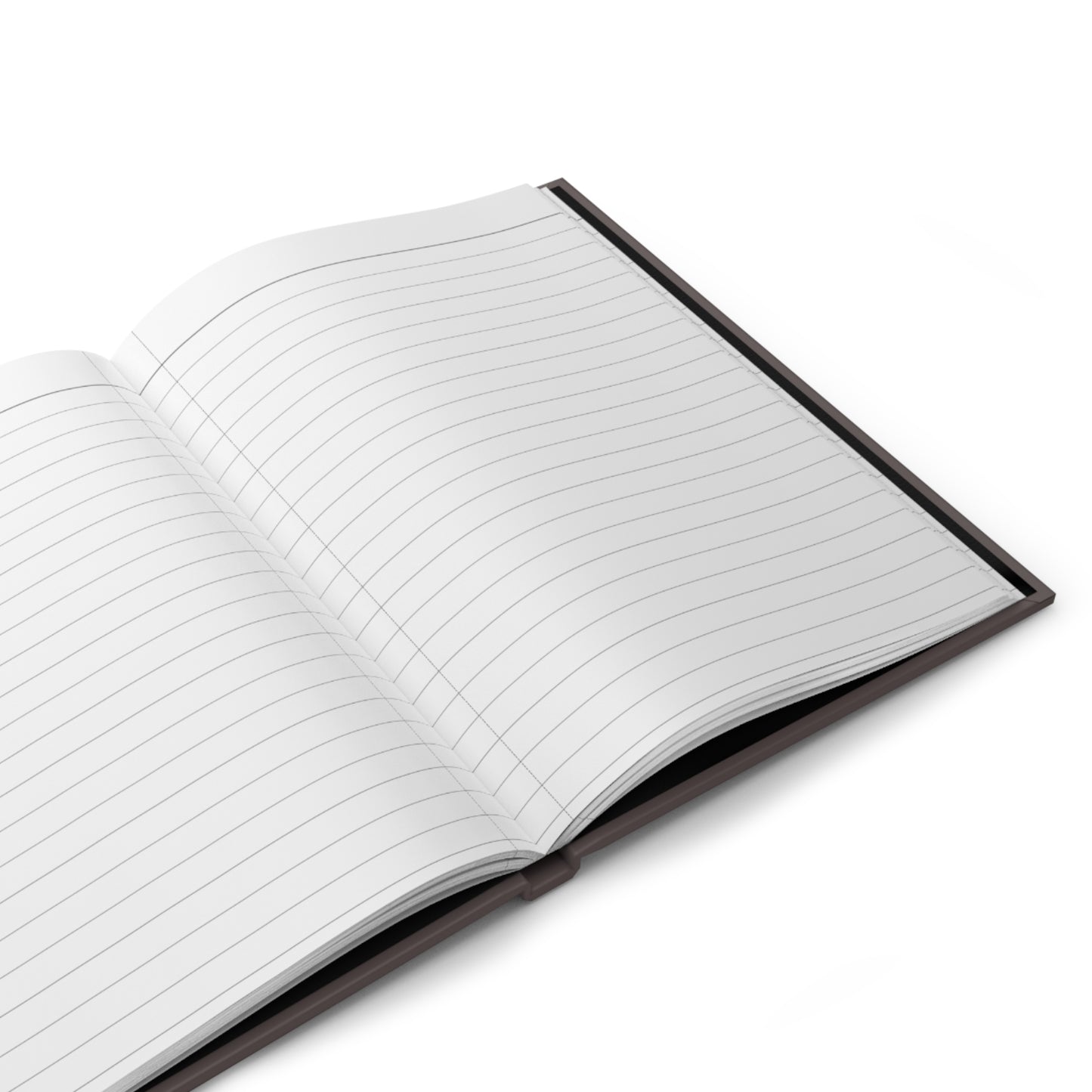 Hardcover Journal — "Write the Vision" Funny Christian Notebook (Habakkuk 2:2)