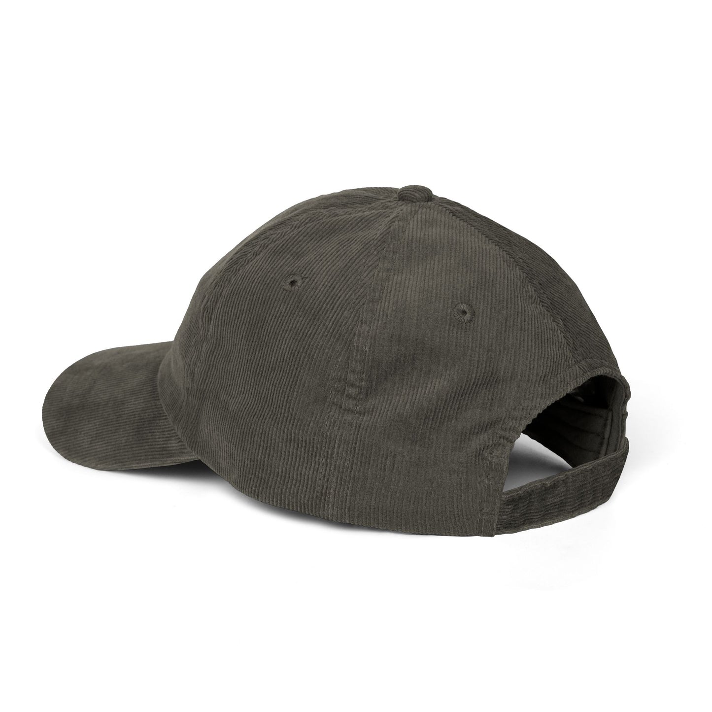 Rooted in Christ Vintage Corduroy Cap — Embroidered Christian Hat