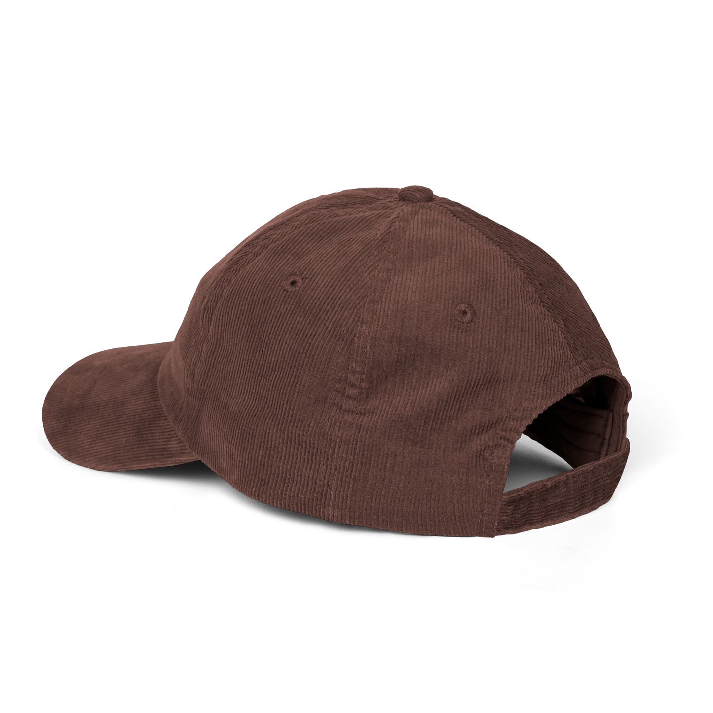 Rooted in Christ Vintage Corduroy Cap — Embroidered Christian Hat