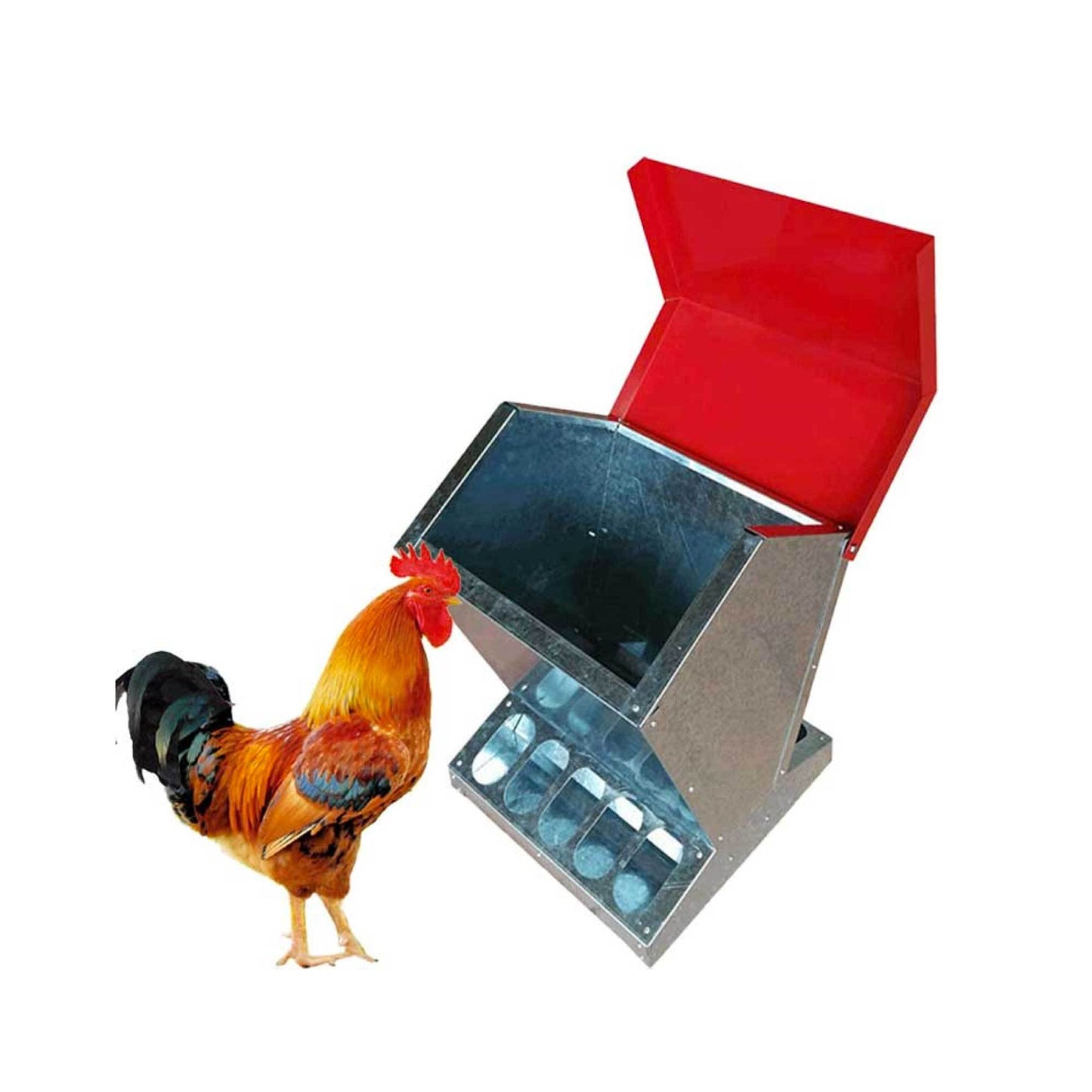 10kg Automatic Chook Chicken Feeder Poultry Auto Trough Galvanised