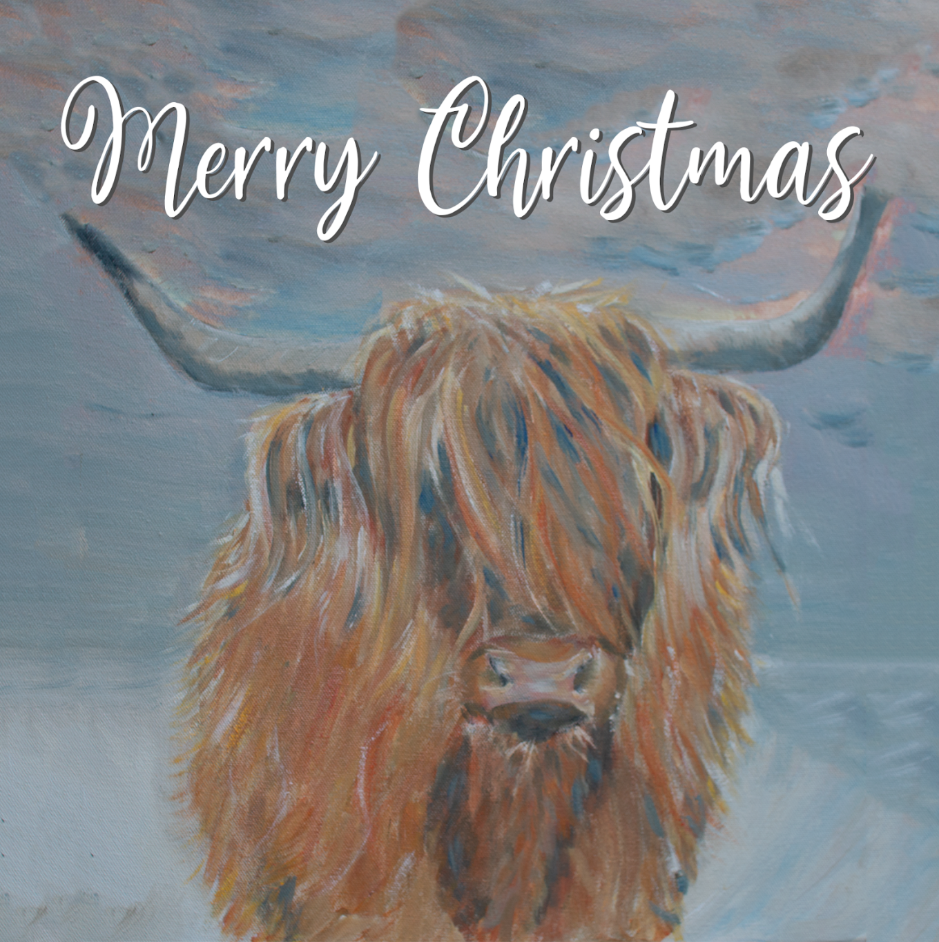 Jane Haigh Christmas Card Selection - Highland Cattle 12 cards FREE