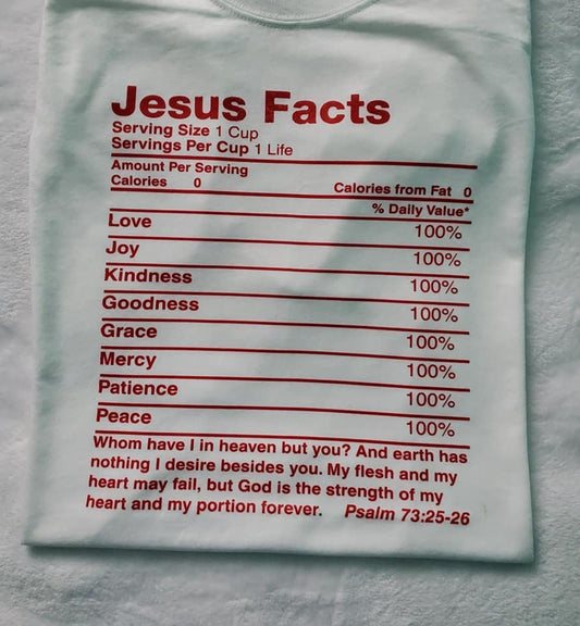 Jesus Facts Shirt, Religious Shirt