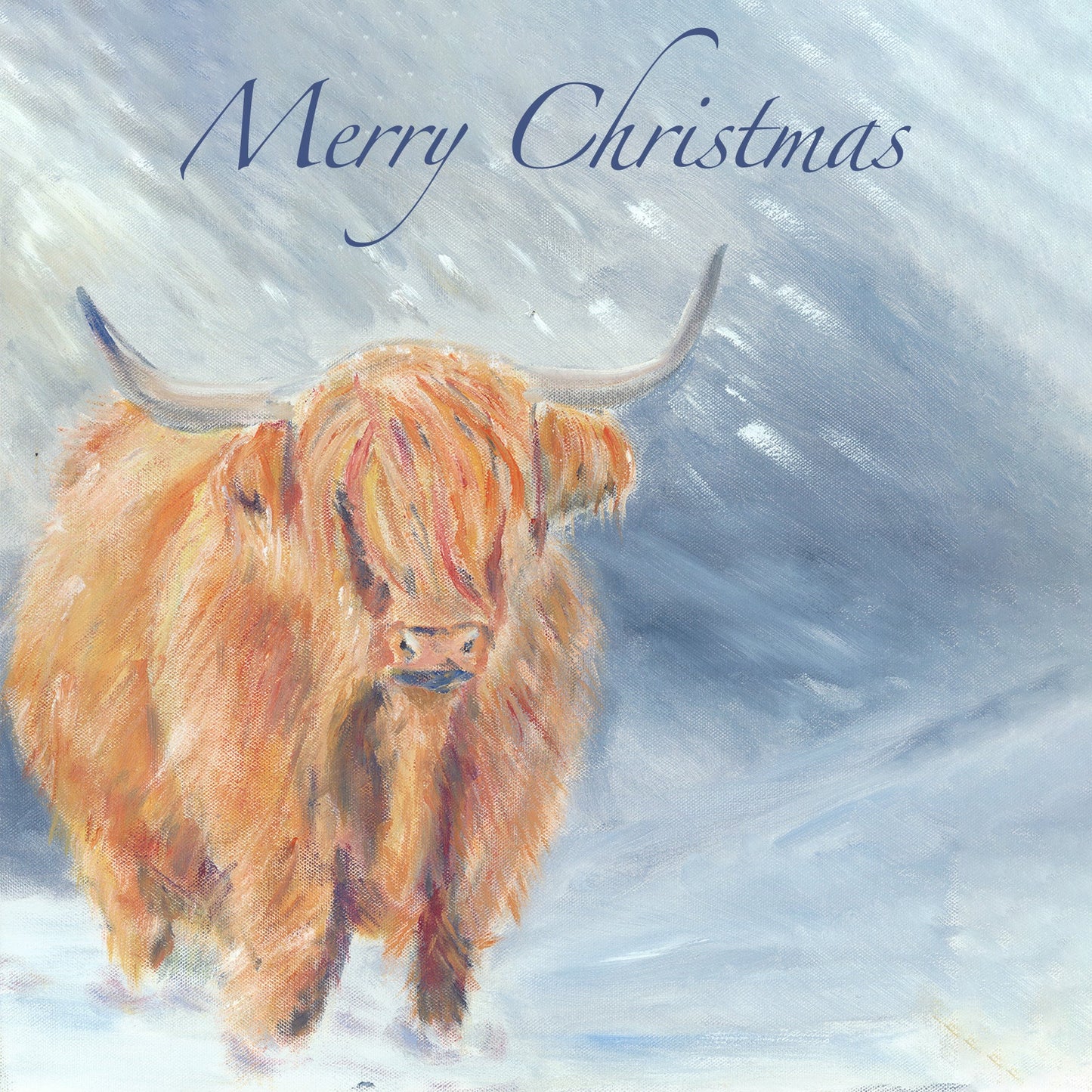 Jane Haigh Christmas Card Selection - Highland Cattle 12 cards FREE